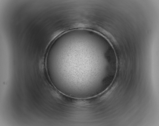 X0000115731170200911191406