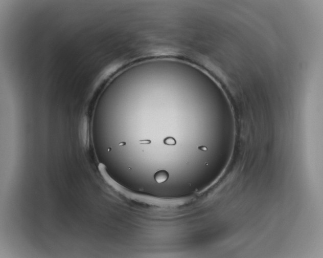 X0000115731171200911191406