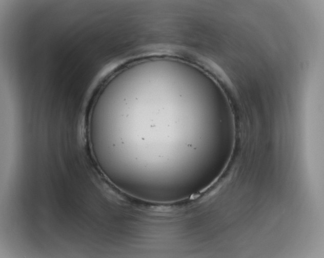 X0000115731172200911191406