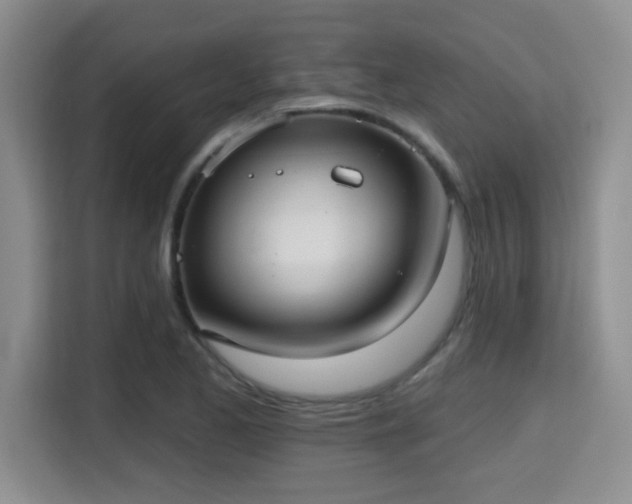 X0000115731173200911191406