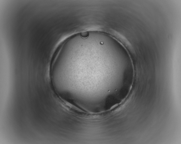 X0000115731174200911191406