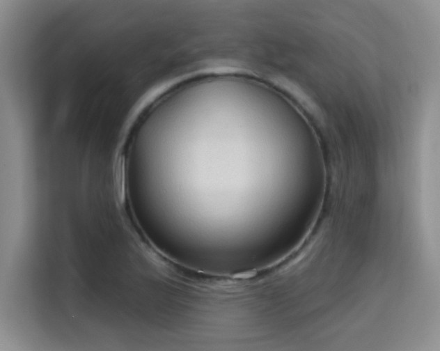 X0000115731175200911191406