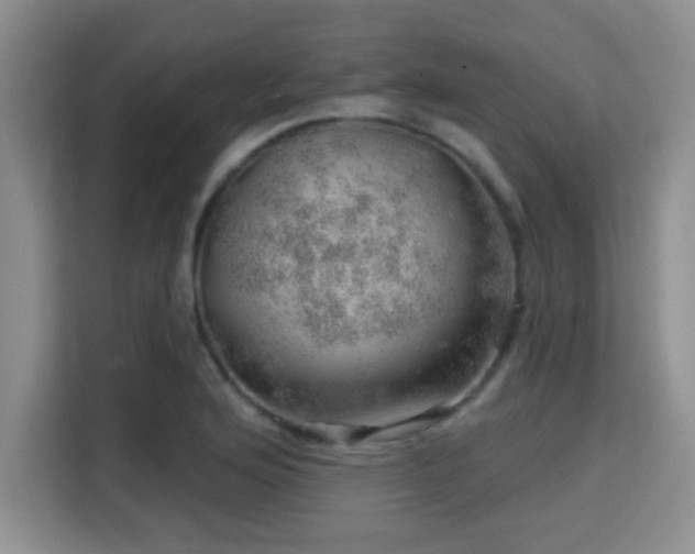 X0000115731176200911191406