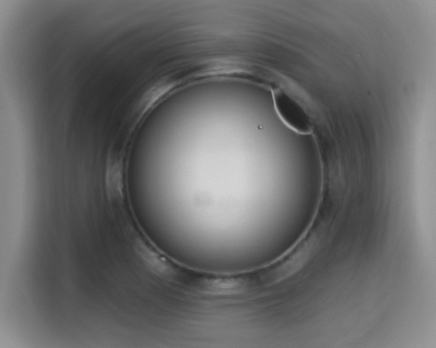 X0000115731177200911191406