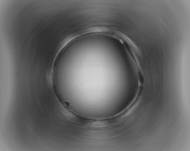 X0000115731178200911191406