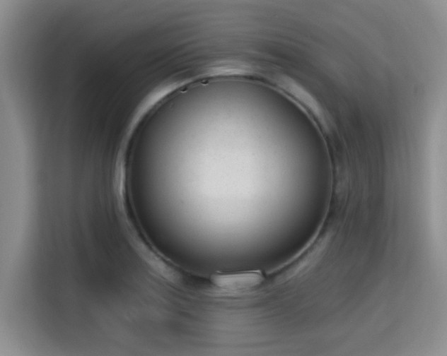 X0000115731179200911191406