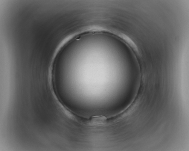 X0000115731183200911191406