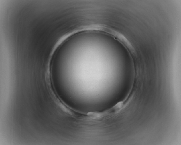 X0000115731184200911191406