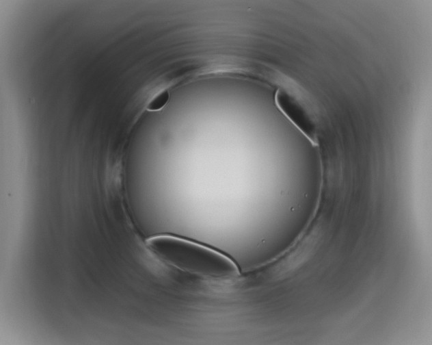 X0000115731185200911191406