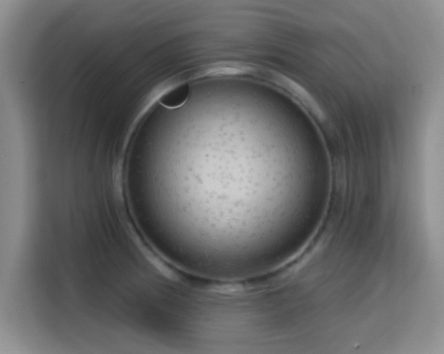 X0000115731186200911191406