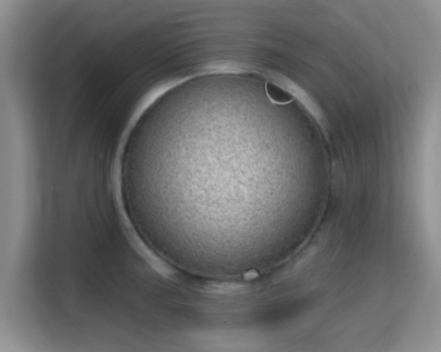 X0000115731187200911191406