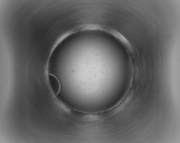 X0000115731190200911191406