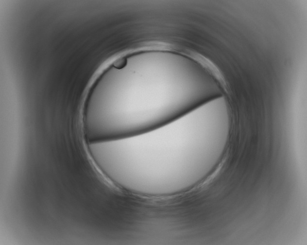 X0000115731192200911191406