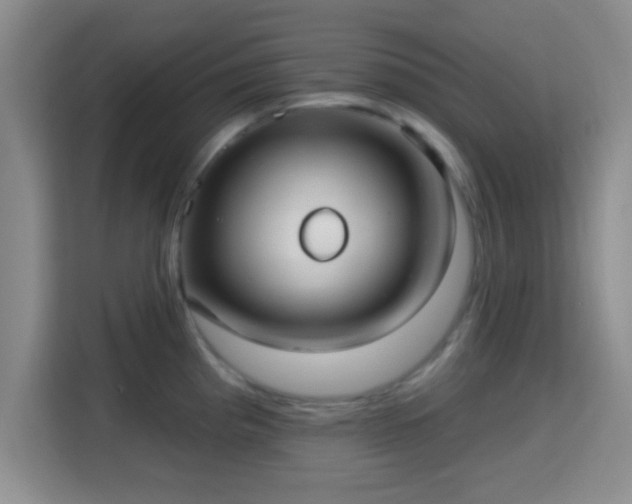 X0000115731193200911191406