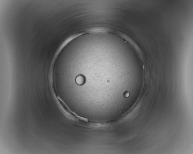 X0000115731195200911191406