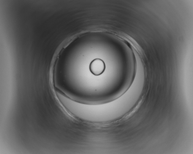 X0000115731196200911191406