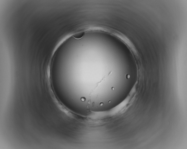 X0000115731198200911191406