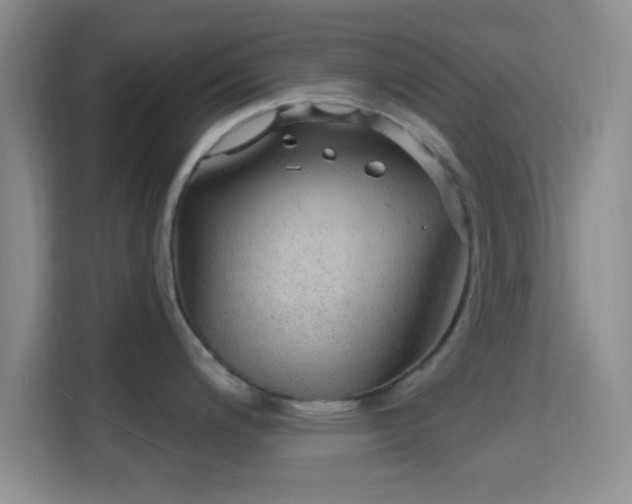 X0000115731200200911191406