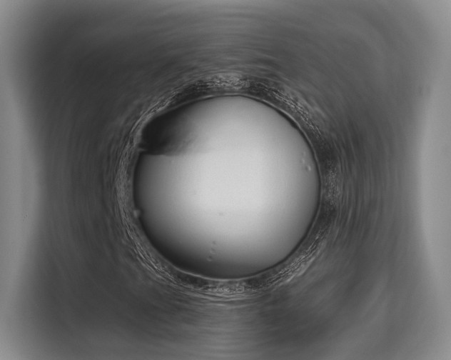 X0000115731201200911191405