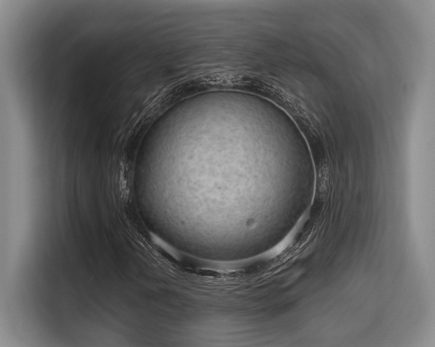 X0000115731202200911191405