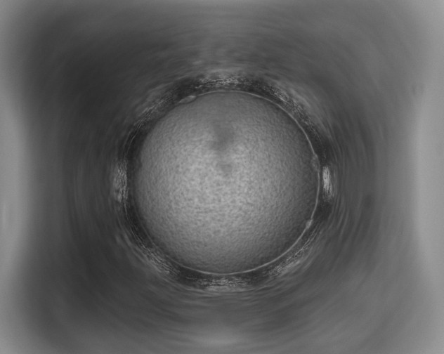 X0000115731203200911191405