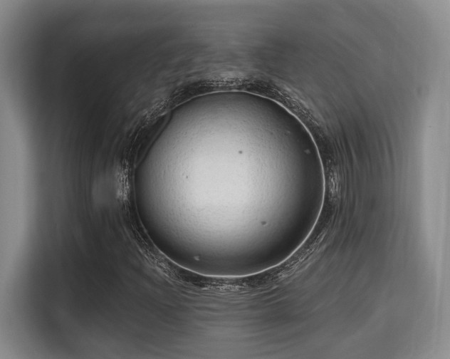 X0000115731204200911191405