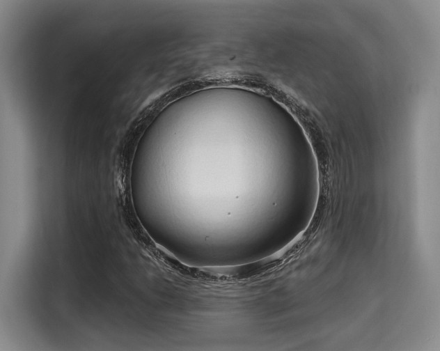 X0000115731206200911191405