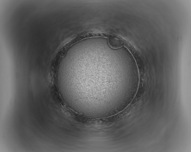 X0000115731207200911191405