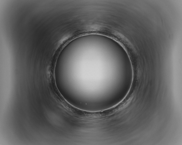 X0000115731210200911191405