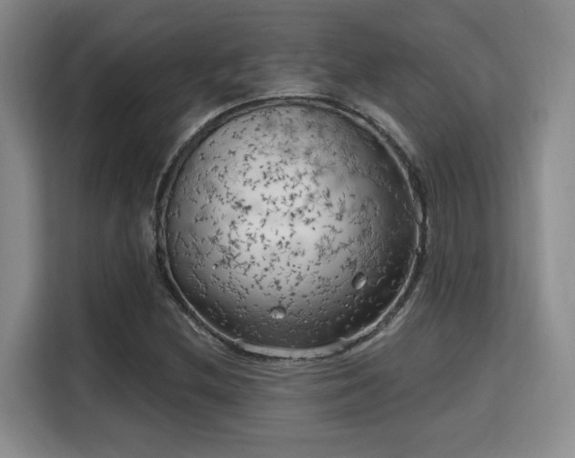X0000115731212200911191405