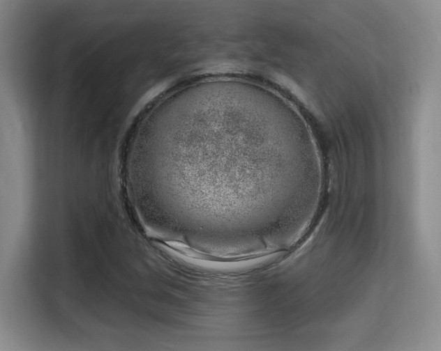 X0000115731213200911191405