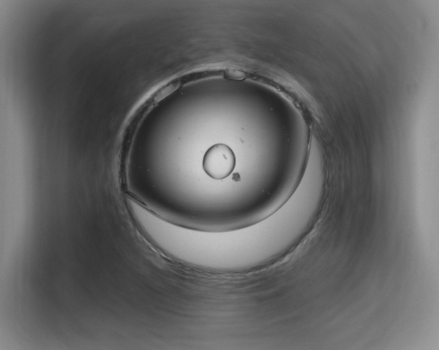 X0000115731216200911191405