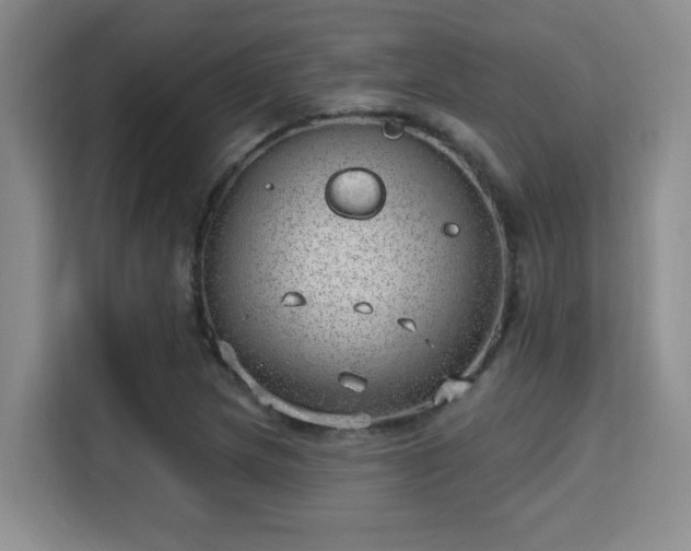 X0000115731217200911191405