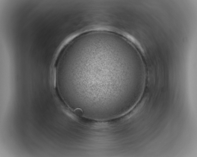 X0000115731223200911191405