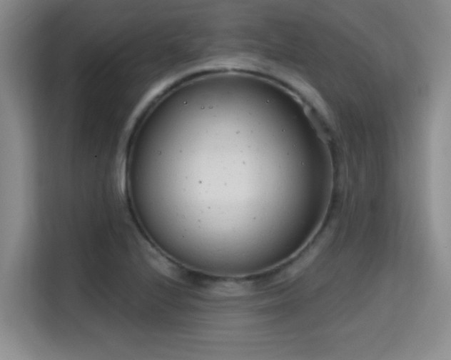 X0000115731224200911191405