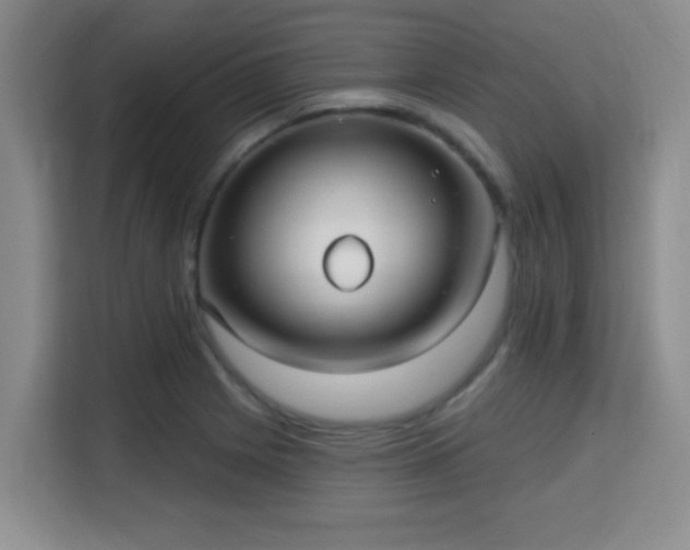 X0000115731225200911191405