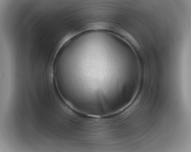 X0000115731226200911191405