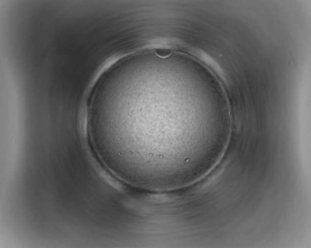 X0000115731227200911191405