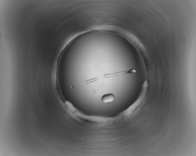 X0000115731228200911191405