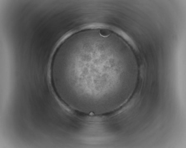 X0000115731229200911191405