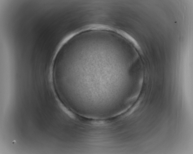 X0000115731231200911191405