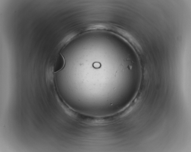 X0000115731233200911191405