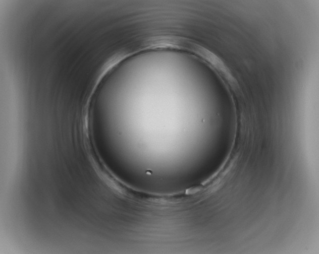 X0000115731234200911191406