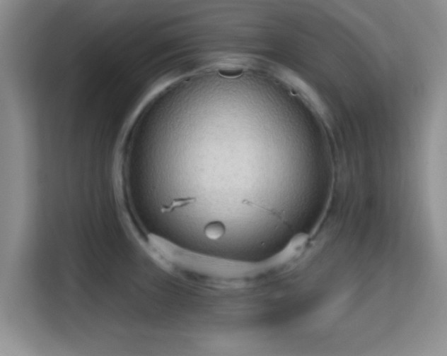 X0000115731235200911191406