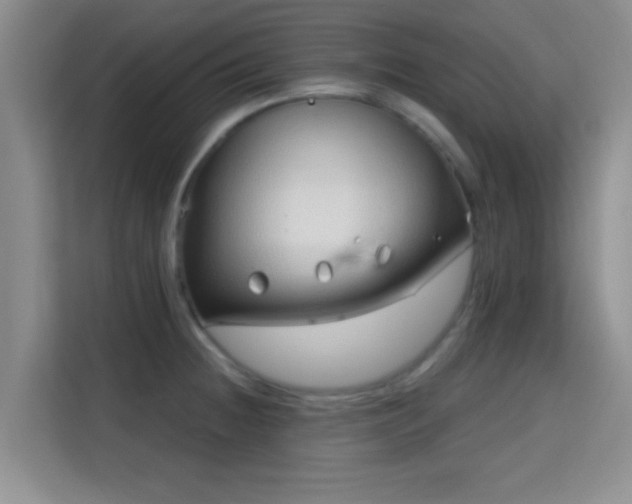 X0000115731236200911191406