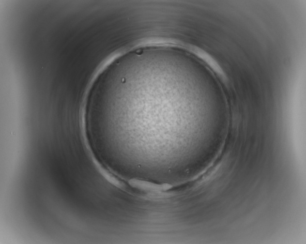 X0000115731237200911191406