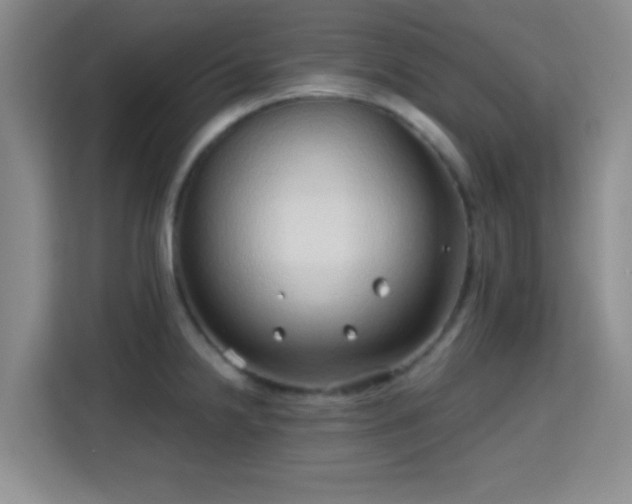 X0000115731238200911191406