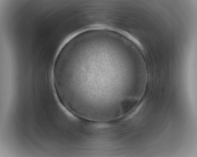 X0000115731239200911191406