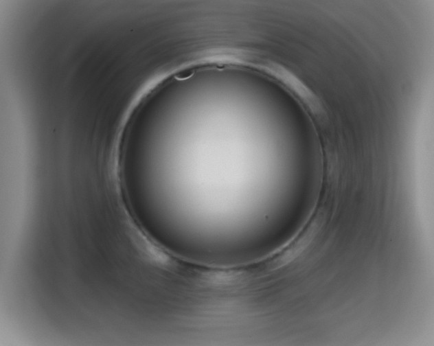 X0000115731240200911191406