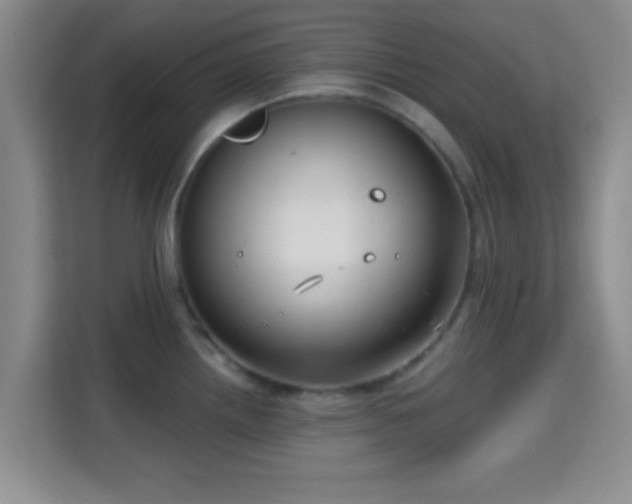 X0000115731242200911191406